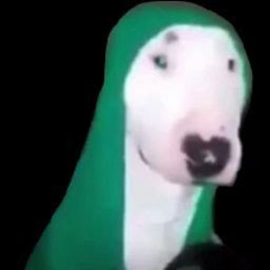 Meet your Posher, Alan